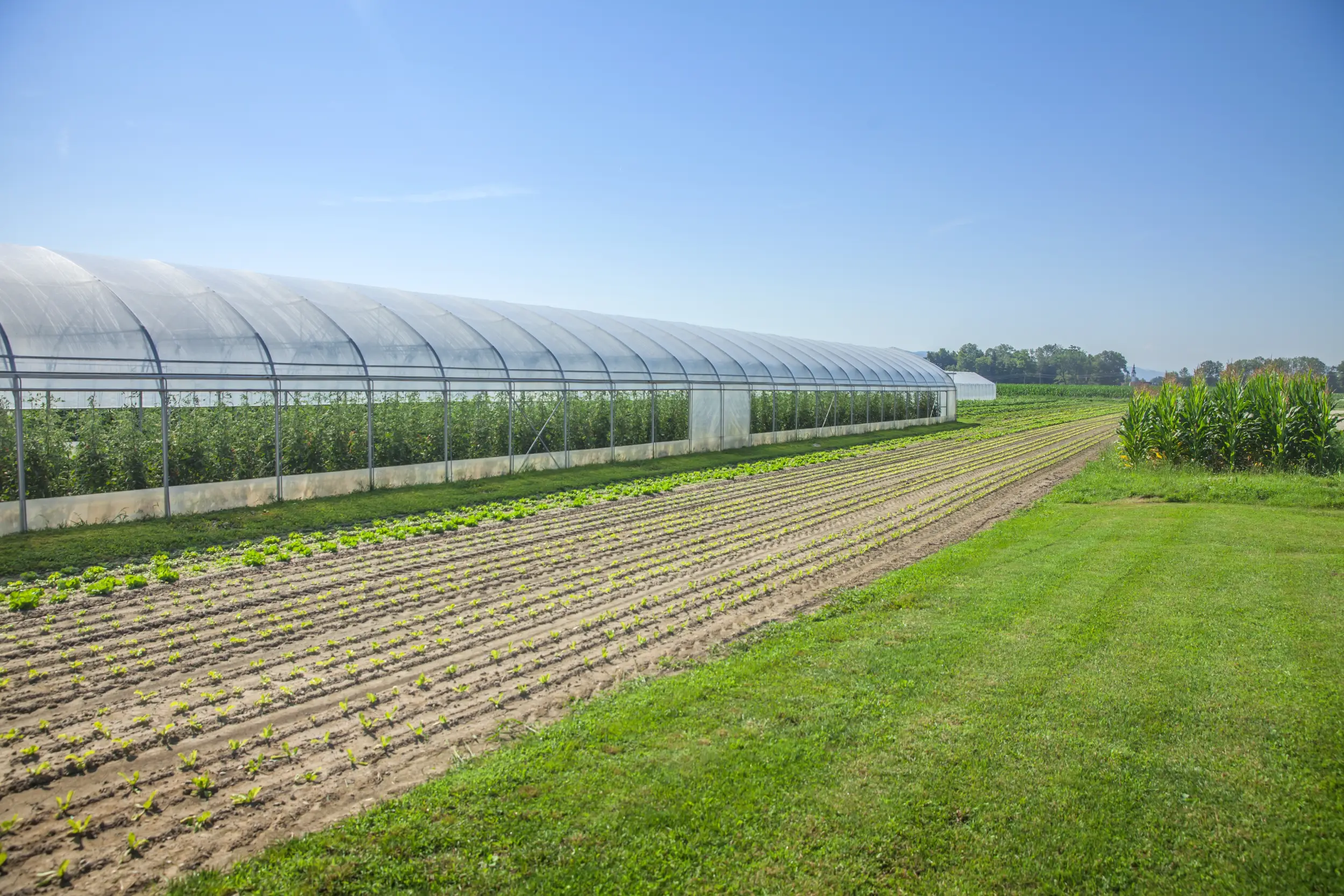 Greenhouse Management Online